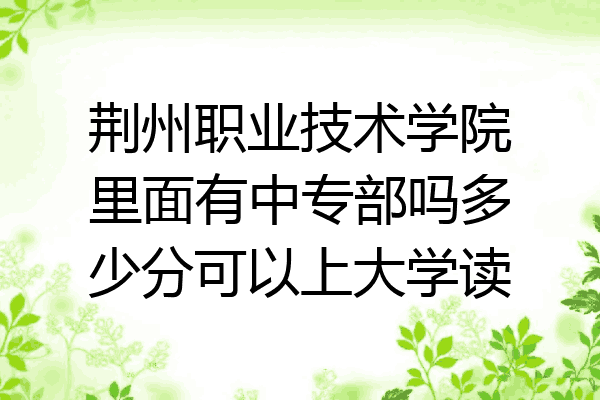 荆州职业技术学院里面有中专部吗多少分可以上大学读