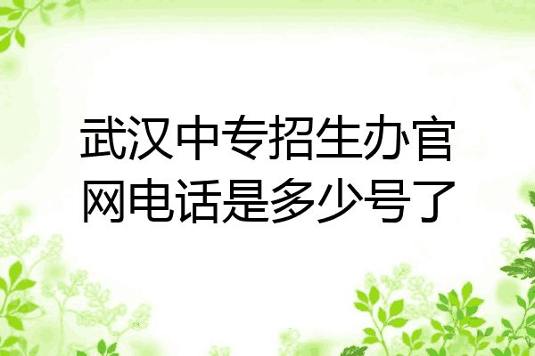 武汉中专招生办官网电话是多少号了