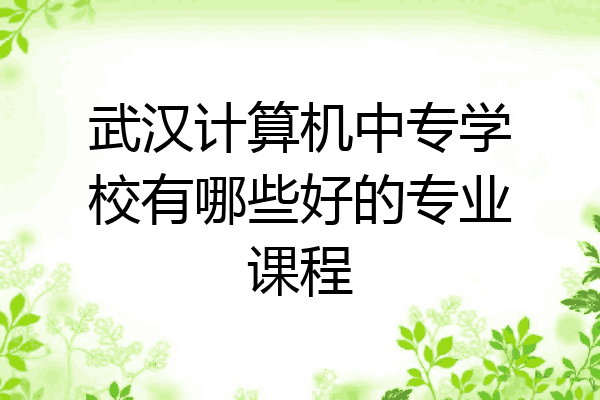 武汉计算机中专学校有哪些好的专业课程