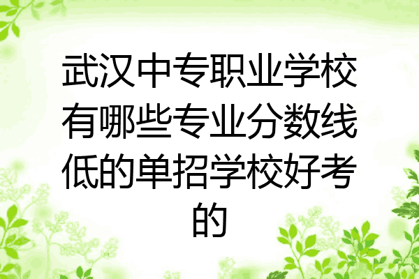 武汉中专职业学校有哪些专业分数线低的单招学校好考的