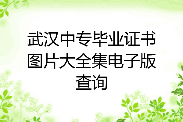 武汉中专毕业证书图片大全集电子版查询