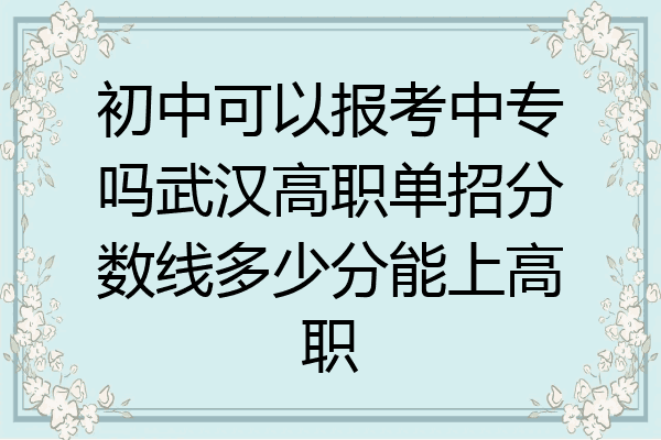 初中可以报考中专吗武汉高职单招分数线多少分能上高职