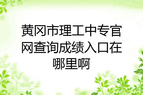 黄冈市理工中专官网查询成绩入口在哪里啊