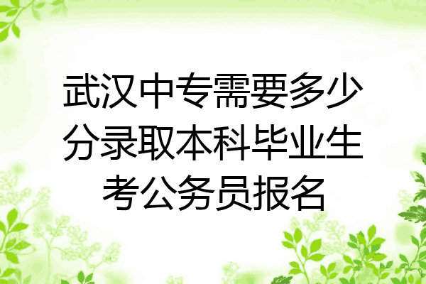 武汉中专需要多少分录取本科毕业生考公务员报名