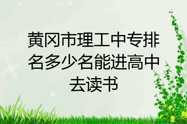 黄冈市理工中专排名多少名能进高中去读书