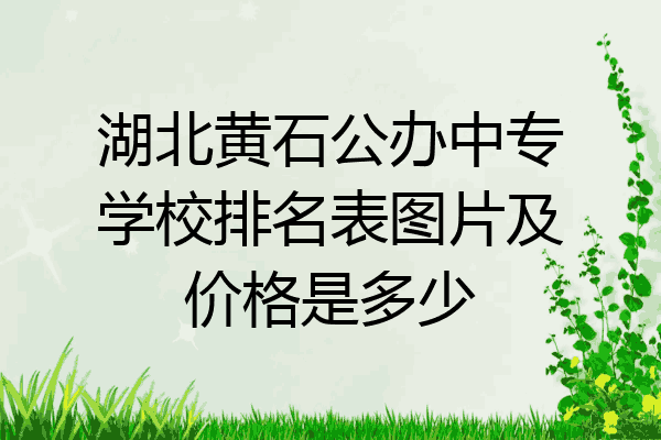 湖北黄石公办中专学校排名表图片及价格是多少