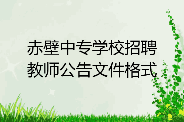 赤壁中专学校招聘教师公告文件格式
