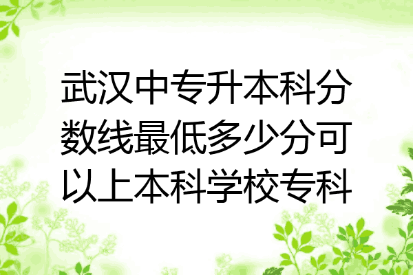 武汉中专升本科分数线最低多少分可以上本科学校专科