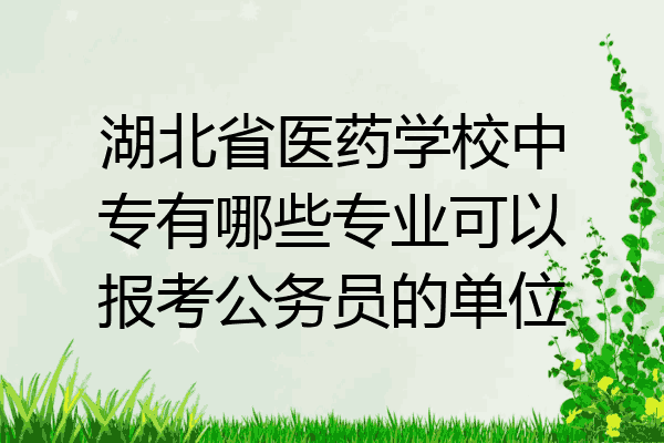 湖北省医药学校中专有哪些专业可以报考公务员的单位