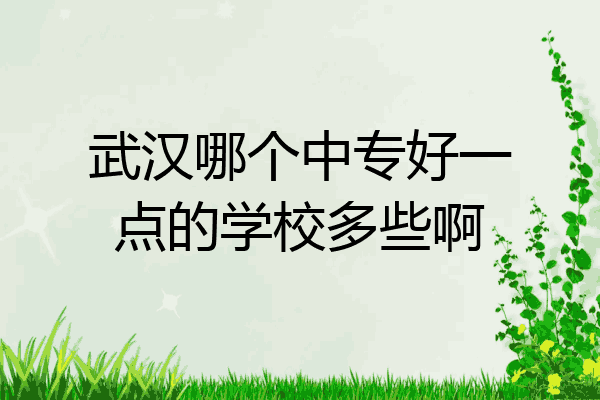 武汉哪个中专好一点的学校多些啊