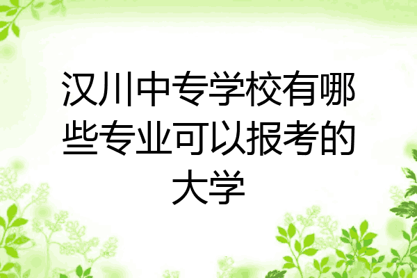 汉川中专学校有哪些专业可以报考的大学
