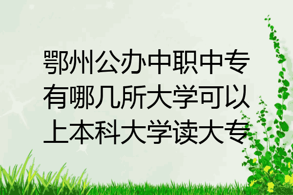 鄂州公办中职中专有哪几所大学可以上本科大学读大专