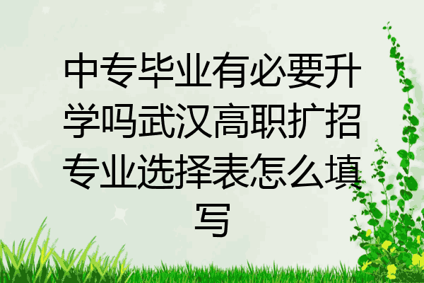 中专毕业有必要升学吗武汉高职扩招专业选择表怎么填写
