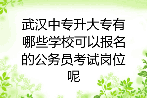 武汉中专升大专有哪些学校可以报名的公务员考试岗位呢