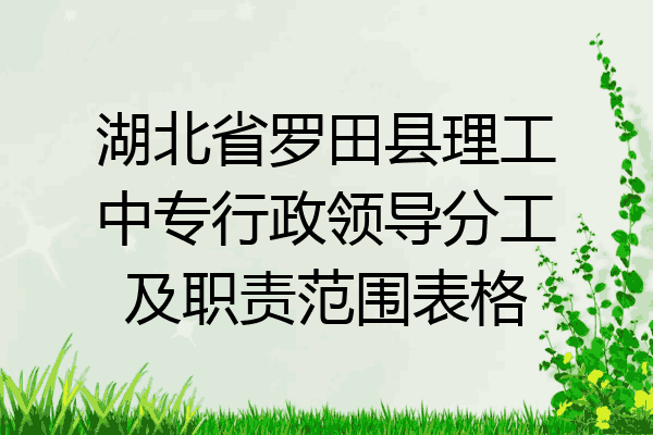 湖北省罗田县理工中专行政领导分工及职责范围表格