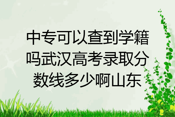 中专可以查到学籍吗武汉高考录取分数线多少啊山东