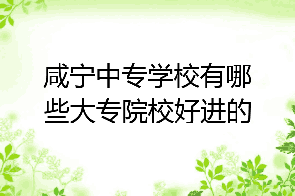 咸宁中专学校有哪些大专院校好进的