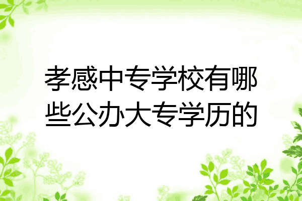 孝感中专学校有哪些公办大专学历的