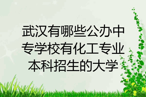 武汉有哪些公办中专学校有化工专业本科招生的大学