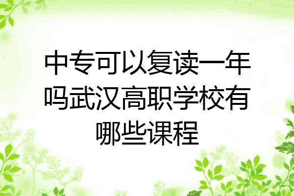 中专可以复读一年吗武汉高职学校有哪些课程