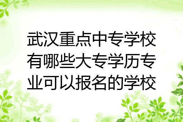 武汉重点中专学校有哪些大专学历专业可以报名的学校