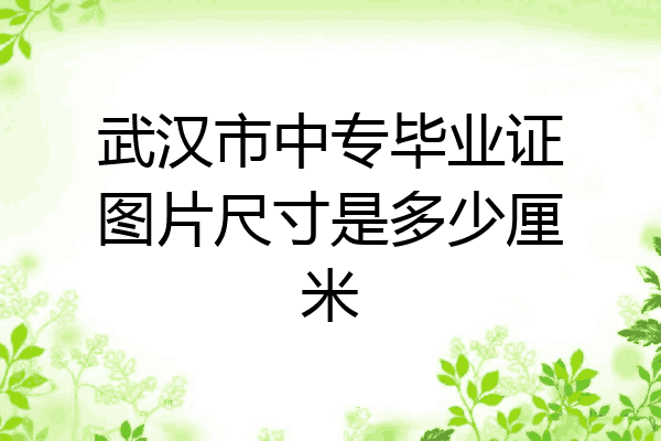 武汉市中专毕业证图片尺寸是多少厘米