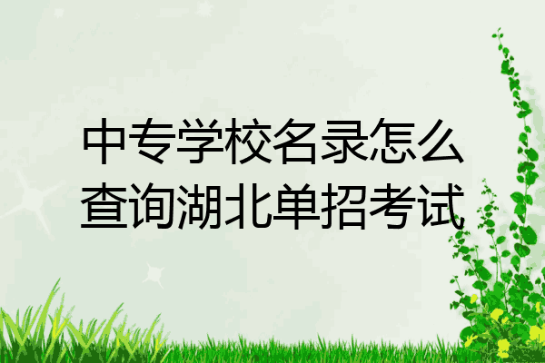 中专学校名录怎么查询湖北单招考试