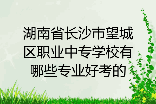 湖南省长沙市望城区职业中专学校有哪些专业好考的
