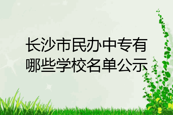 长沙市民办中专有哪些学校名单公示
