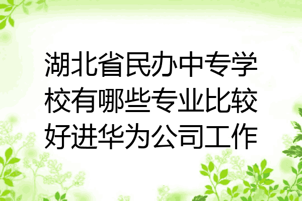 湖北省民办中专学校有哪些专业比较好进华为公司工作