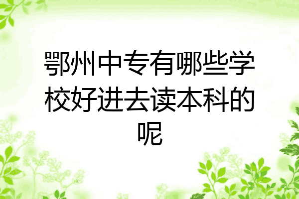 鄂州中专有哪些学校好进去读本科的呢