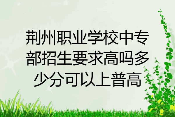 荆州职业学校中专部招生要求高吗多少分可以上普高