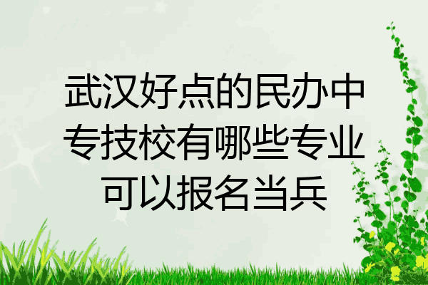 武汉好点的民办中专技校有哪些专业可以报名当兵