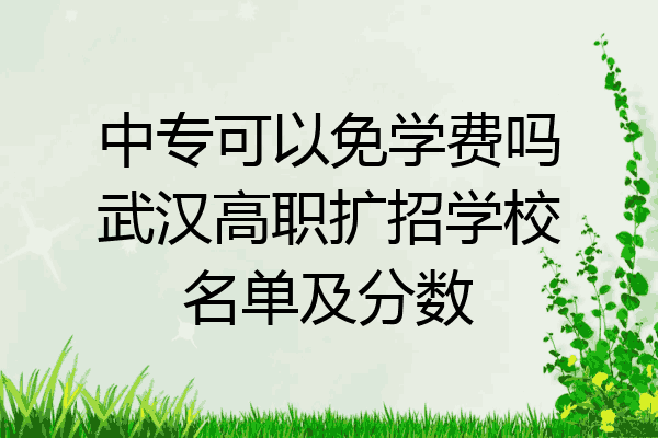 中专可以免学费吗武汉高职扩招学校名单及分数