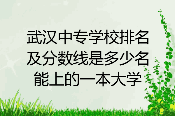 武汉中专学校排名及分数线是多少名能上的一本大学