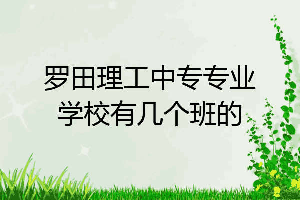 罗田理工中专专业学校有几个班的