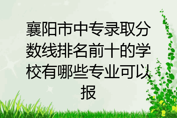 襄阳市中专录取分数线排名前十的学校有哪些专业可以报