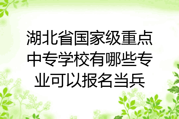 湖北省国家级重点中专学校有哪些专业可以报名当兵