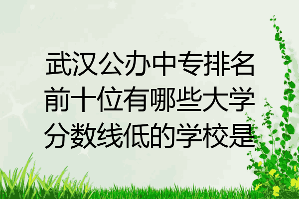武汉公办中专排名前十位有哪些大学分数线低的学校是