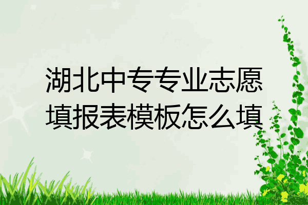 湖北中专专业志愿填报表模板怎么填