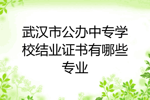 武汉市公办中专学校结业证书有哪些专业