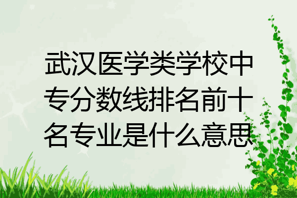 武汉医学类学校中专分数线排名前十名专业是什么意思