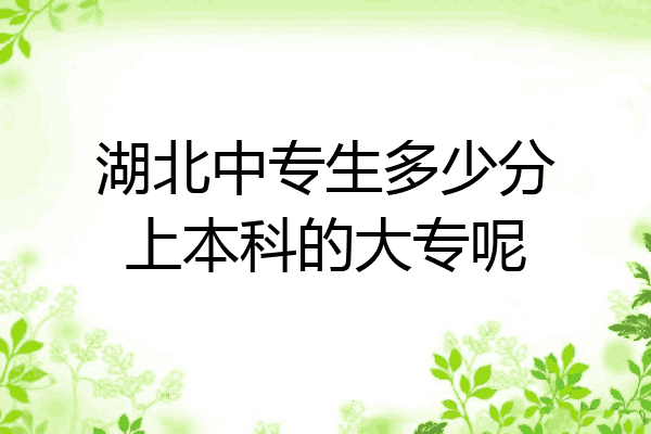 湖北中专生多少分上本科的大专呢