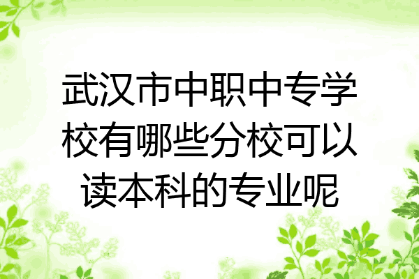 武汉市中职中专学校有哪些分校可以读本科的专业呢
