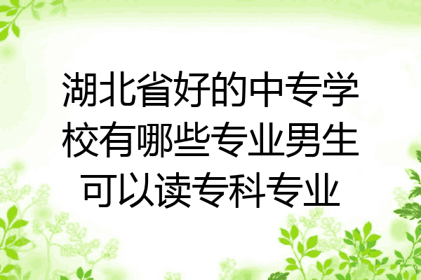 湖北省好的中专学校有哪些专业男生可以读专科专业