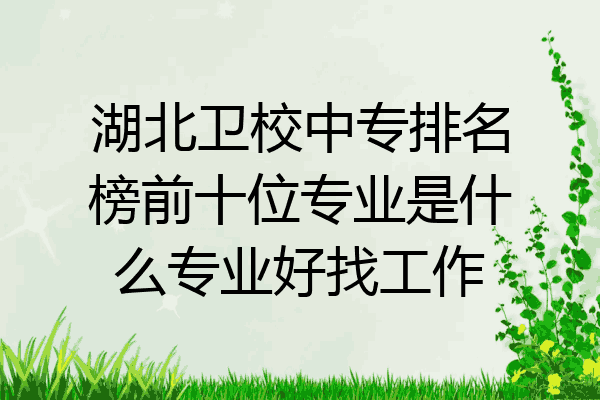 湖北卫校中专排名榜前十位专业是什么专业好找工作
