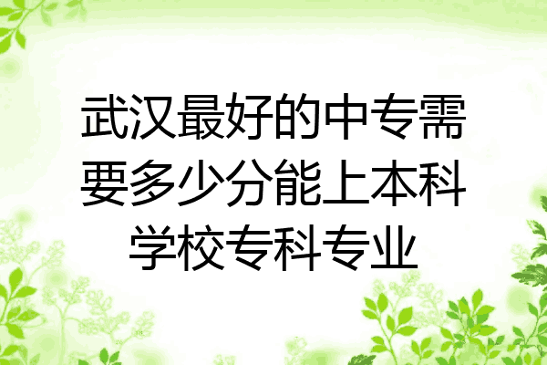 武汉最好的中专需要多少分能上本科学校专科专业