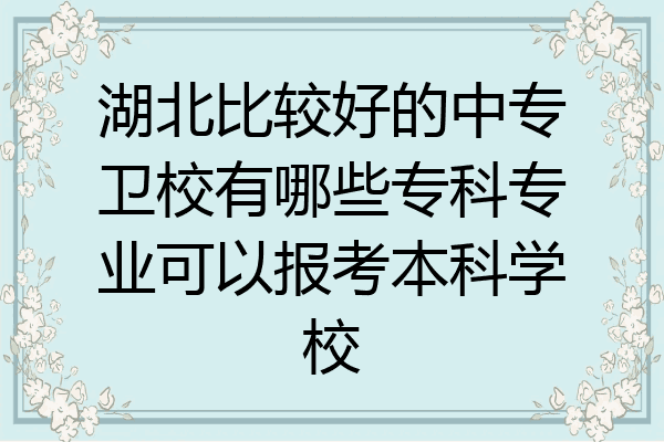 湖北比较好的中专卫校有哪些专科专业可以报考本科学校