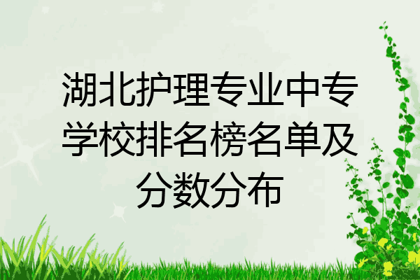 湖北护理专业中专学校排名榜名单及分数分布