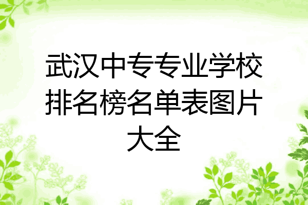 武汉中专专业学校排名榜名单表图片大全